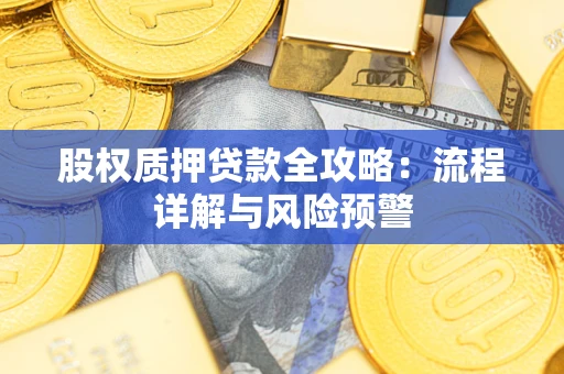 北京股权质押贷款全攻略：流程详解与风险预警