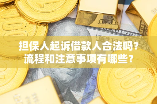北京担保人起诉借款人合法吗？流程和注意事项有哪些？