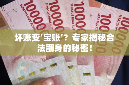 北京坏账变‘宝账’？专家揭秘合法翻身的秘密！