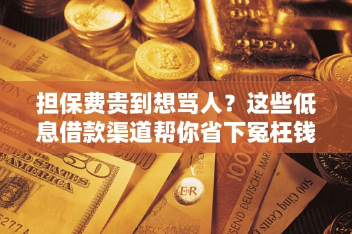 北京担保费贵到想骂人？这些低息借款渠道帮你省下冤枉钱