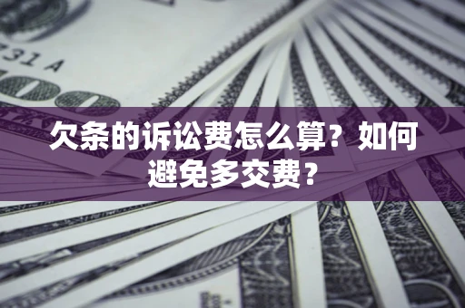 北京欠条的诉讼费怎么算？如何避免多交费？