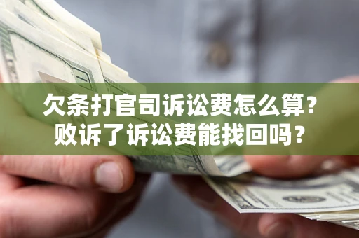 北京欠条打官司诉讼费怎么算？败诉了诉讼费能找回吗？