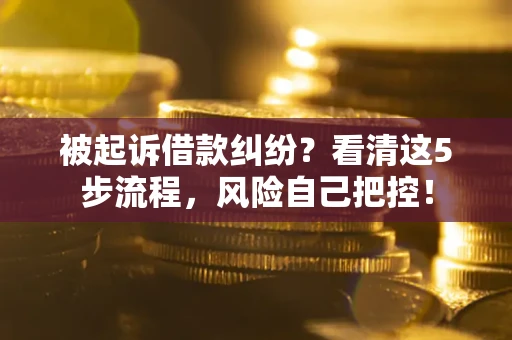 北京被起诉借款纠纷？看清这5步流程，风险自己把控！